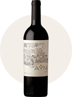 AYNI