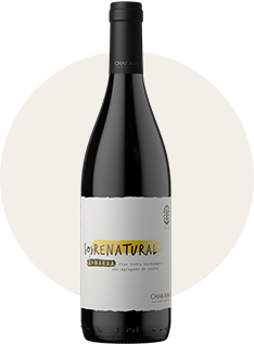 SOBRENATURAL